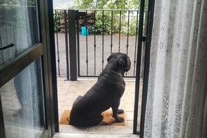 Villino indipendente con giardino E posto auto