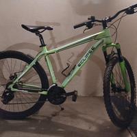 Bici Eclipse Hornet