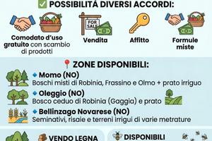 Terreni agricoli e boschi in provincia novara