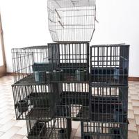 9 GABBIE PER UCCELLI 