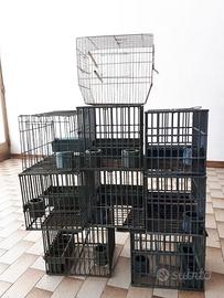 9 GABBIE PER UCCELLI 