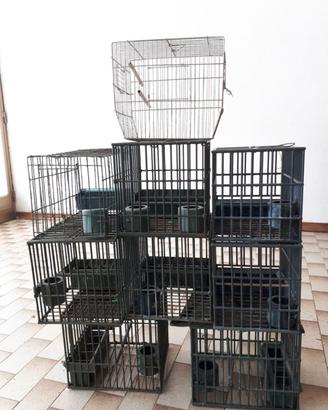 9 GABBIE PER UCCELLI 