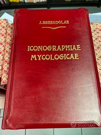 Iconographia mycologica - 1927/1960 - Bresadola