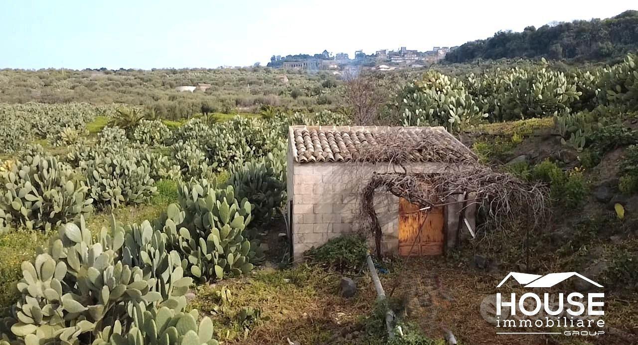 SANTA MARIA DI LICODIA AZIENDA AGRICOLA - Vista 5