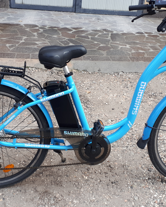 Ebike
