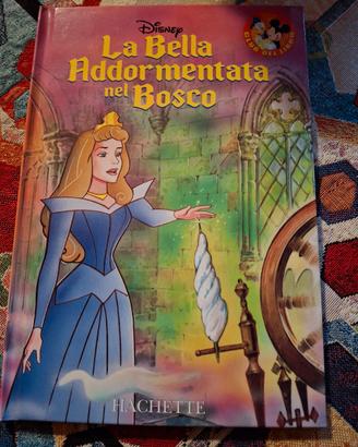 la bella addormentata nel bosco