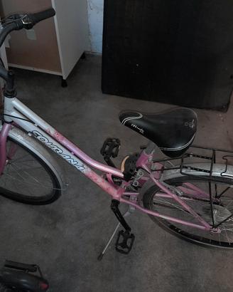 bicicletta donna