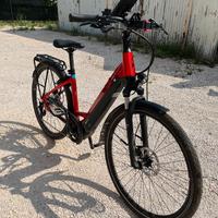 Pegasus  e-trekkingbike