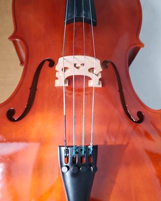 violoncello 3/4