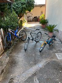 Lotto 3 Bici (2 Mountain Bike + 1 Bici Bambino)