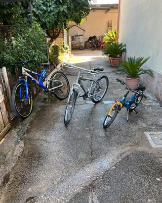 Lotto 3 Bici (2 Mountain Bike + 1 Bici Bambino)