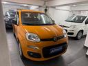 fiat-panda-1-2-benzina-69cv-euro6-unico-prop-