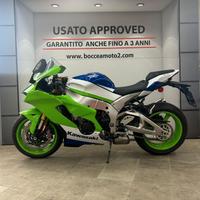 Kawasaki Ninja 1000 ZX-10R Anniversario - 2024