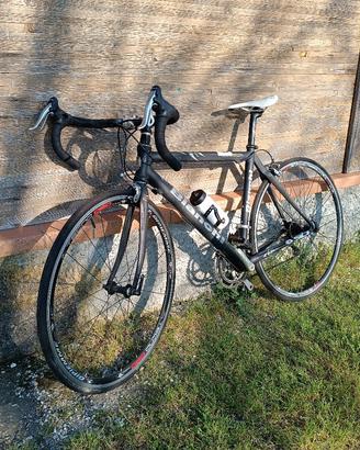 Bianchi Full Carbon 