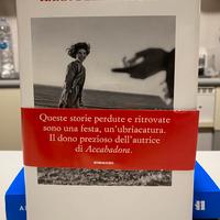 Libro di Micheka Murgia “ Anna della pioggia”