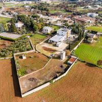 Stabile / Palazzo - Noci