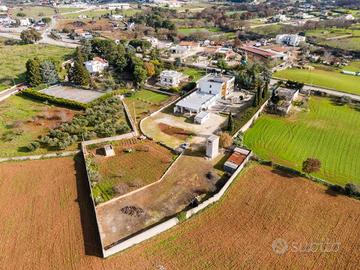 Stabile / Palazzo - Noci