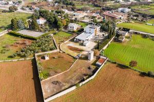 Stabile / Palazzo - Noci