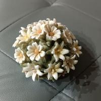 Vasetto di fiori margherite vintage in porcellana