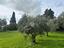 Immagine 24