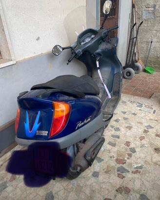 Honda pantheon