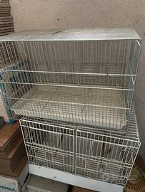 Gabbia cova canarini