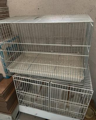 Gabbia cova canarini