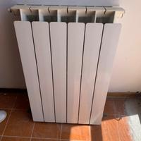 Termosifoni in alluminio