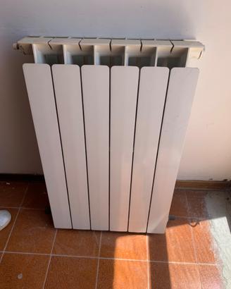 Termosifoni in alluminio