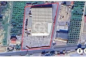Locale commerciale - Scordia