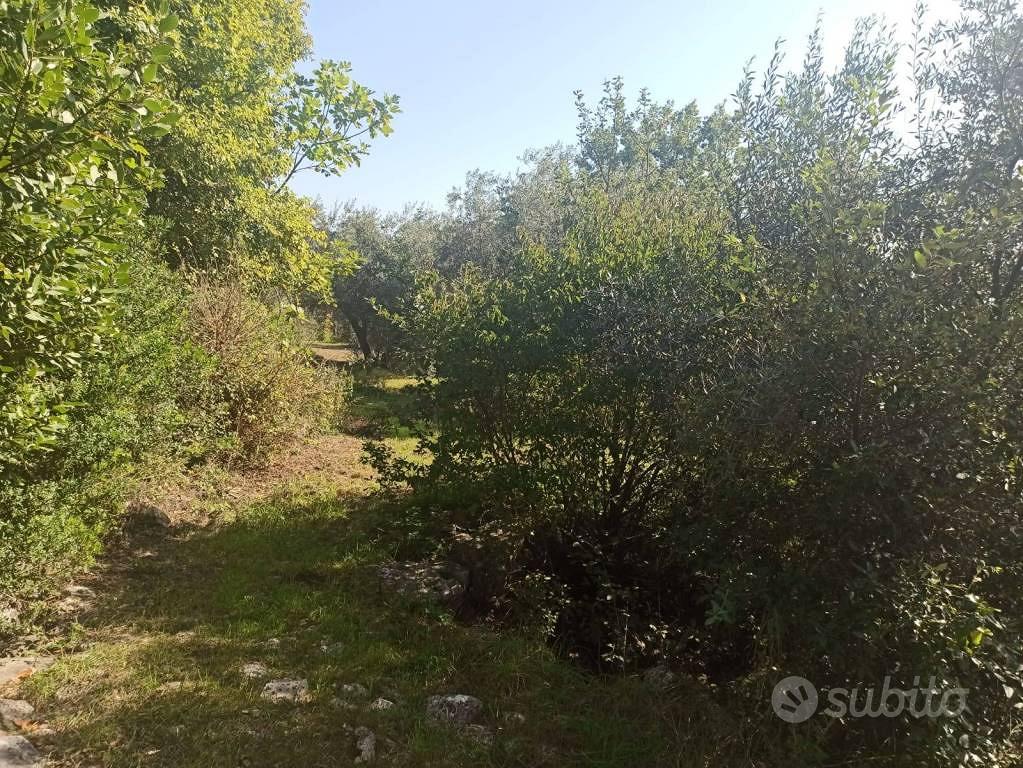 Rustico / Casale di 150 m² a Ausonia - Vista 4
