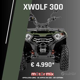 VOGE Loncin XWOLF 300