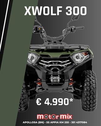VOGE Loncin XWOLF 300