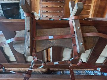 Basto americano per asini