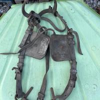 Antica testiera redini cavallo con targa BL