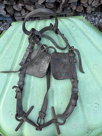 Antica testiera redini cavallo con targa BL