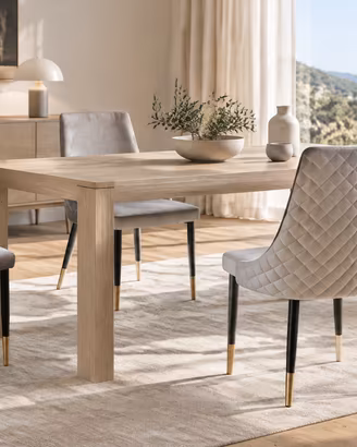 Sedia elegante in velluto  Fine serie