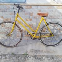 Coppia di Biciclette 