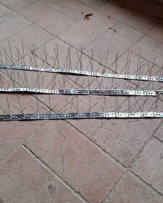 Dissuasori per piccioni 