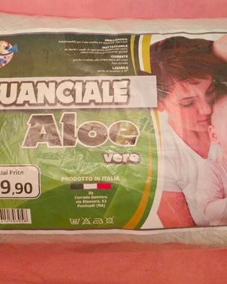 CUSCINI ALOE VERE n. 2