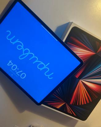 IPad PRO 12.9 pollici 256GB