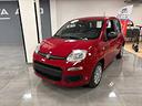 fiat-panda-icon-1-0-hybrid-70cv-kmo-2025