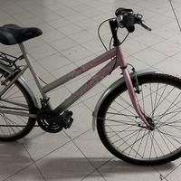 Bicicletta Regina