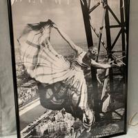 Poster incorniciato BLUMENFELD