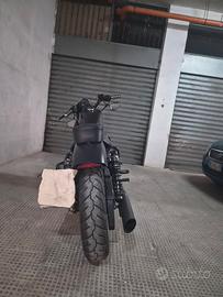 harley davidson  883