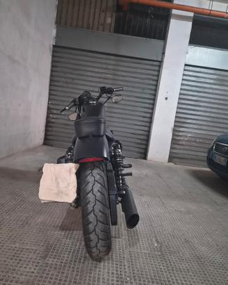 harley davidson  883