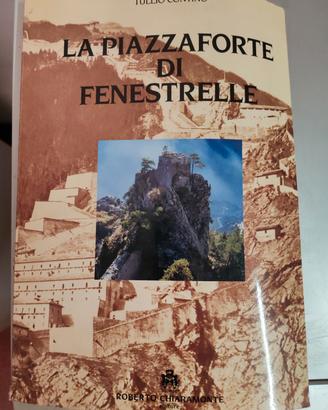 La Piazzaforte di Fenestrelle. T. Contino completo