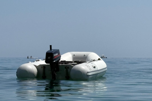 Gommone con selva 15 cv