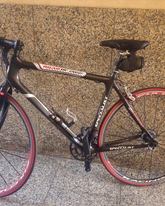 Specialized Road fibra di carbonio