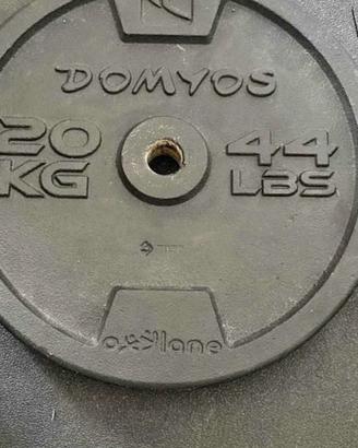 pesi dischi 20 kg